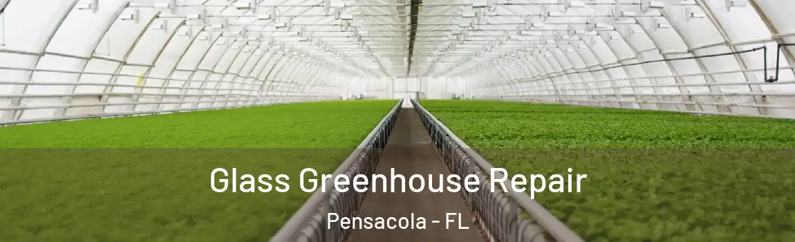  Glass Greenhouse Repair Pensacola - FL