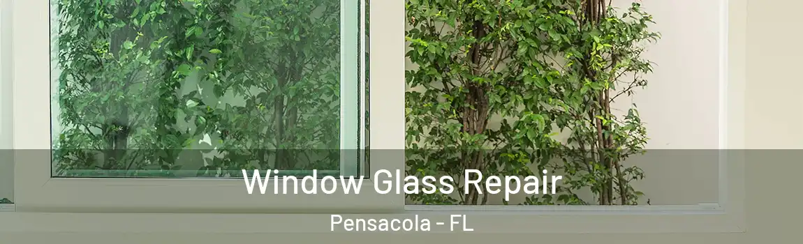  Window Glass Repair Pensacola - FL