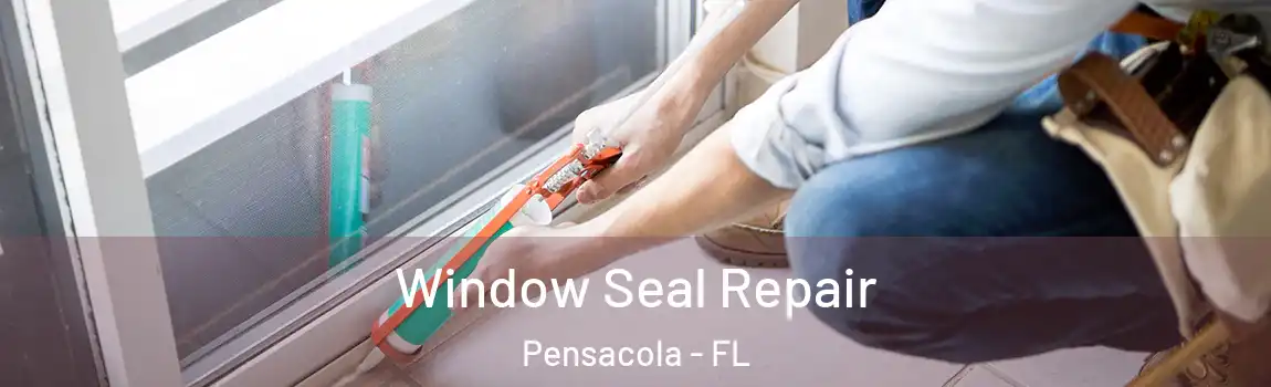  Window Seal Repair Pensacola - FL
